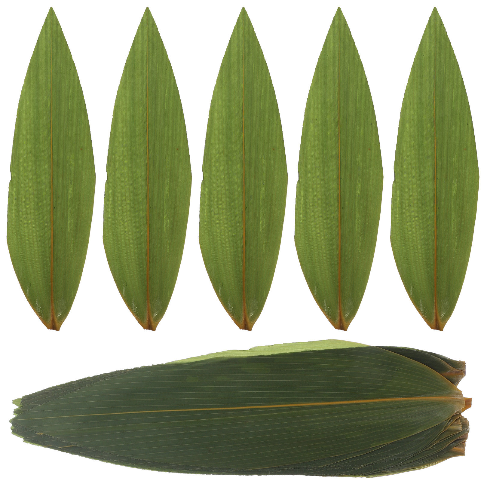 100pcs Sushi Bamboo Leaves Sas - огляд і ціна Sushi Mat Bamboo