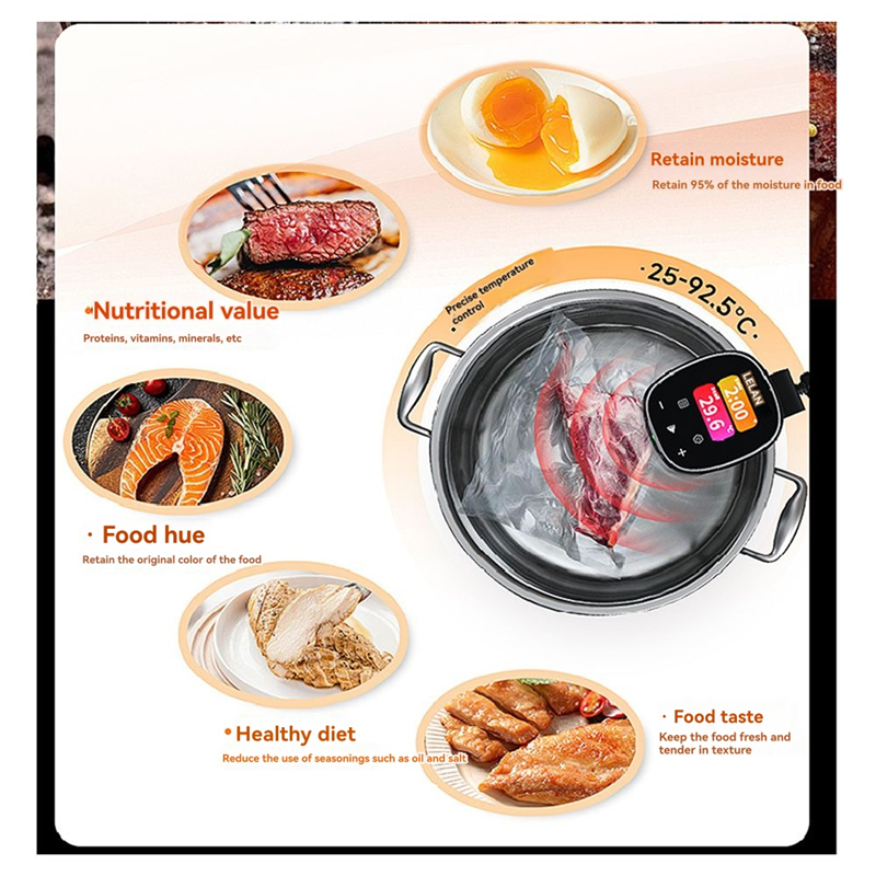 A98I-Precision Sous Vide Cooke - огляд і ціна Uk Home Cooking